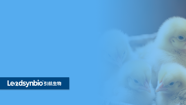 為什么說水溶性25-羥基維生素D? 是一個偽命題 ？｜產品科普