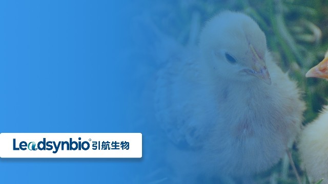 關于25-羥基維生素D?，你不得不知道的七個問答（二）｜產品科普